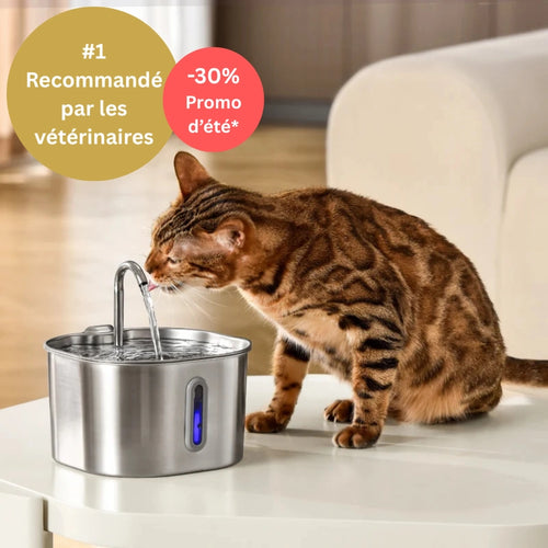 https://cdn.dropmagic.ai/medias/0237320d-fe23-4f9f-a4da-434ca25fbe64.webp